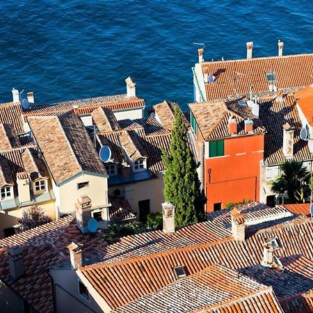 Room In Rovinj With Terrace, Air Conditioning, W-Lan 81-5 Eksteriør billede