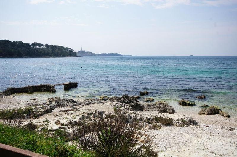 Room In Rovinj With Terrace, Air Conditioning, W-Lan 81-5 Eksteriør billede