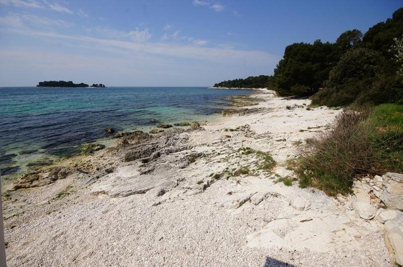 Room In Rovinj With Terrace, Air Conditioning, W-Lan 81-5 Eksteriør billede