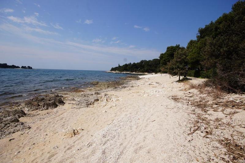 Room In Rovinj With Terrace, Air Conditioning, W-Lan 81-5 Eksteriør billede