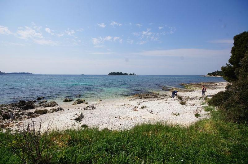 Room In Rovinj With Terrace, Air Conditioning, W-Lan 81-5 Eksteriør billede