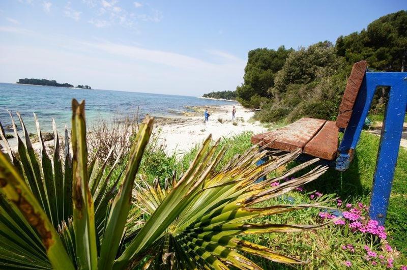 Room In Rovinj With Terrace, Air Conditioning, W-Lan 81-5 Eksteriør billede